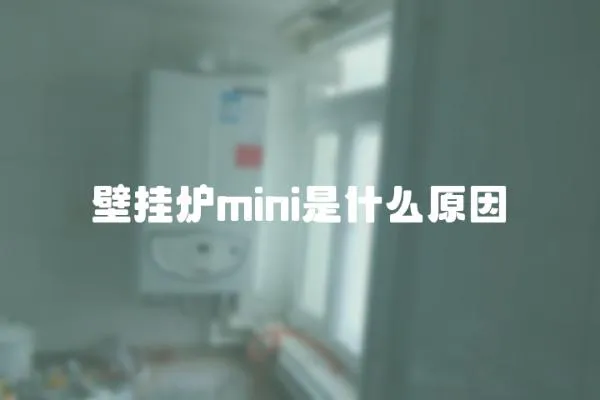 壁掛爐mini是什么原因