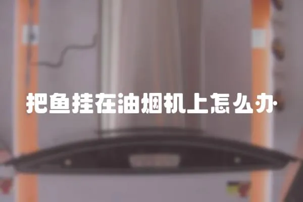 把魚掛在油煙機(jī)上怎么辦