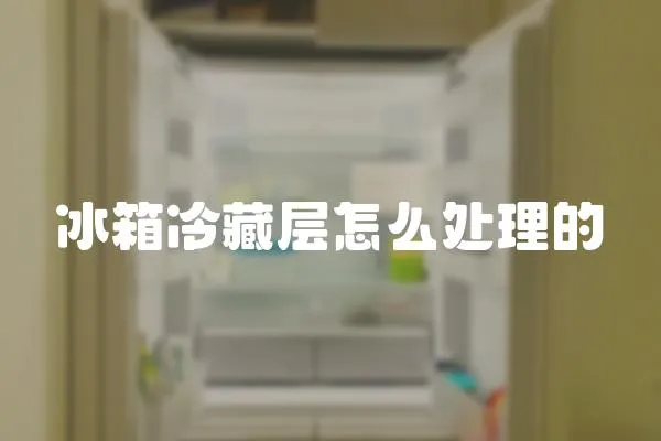 冰箱冷藏層怎么處理的