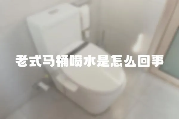 老式馬桶噴水是怎么回事
