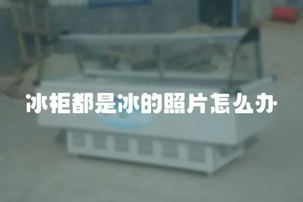 冰柜都是冰的照片怎么辦