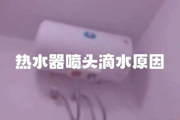 熱水器噴頭滴水原因
