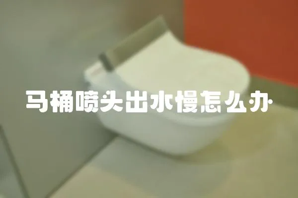 馬桶噴頭出水慢怎么辦