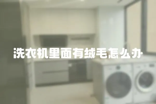 洗衣機(jī)里面有絨毛怎么辦