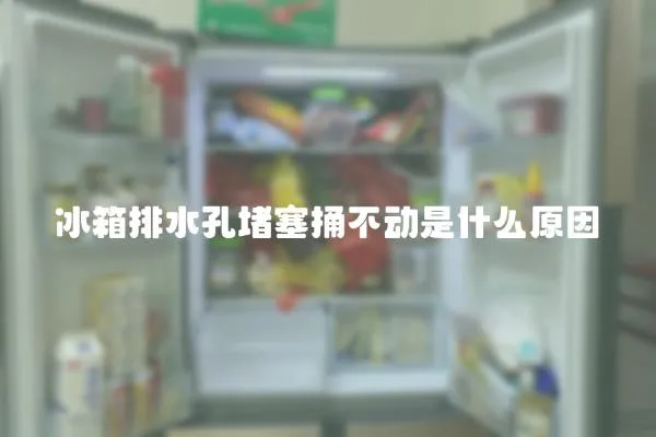 冰箱排水孔堵塞捅不動(dòng)是什么原因