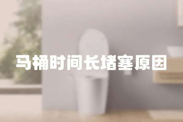 馬桶時間長堵塞原因