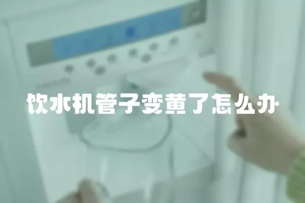飲水機管子變黃了怎么辦