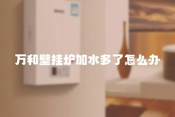萬和壁掛爐加水多了怎么辦