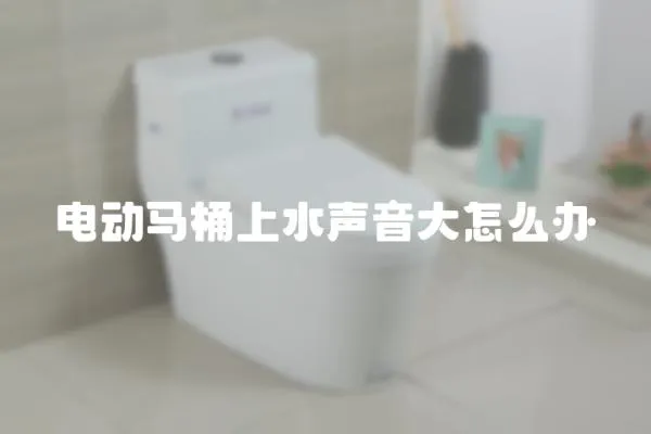 電動馬桶上水聲音大怎么辦