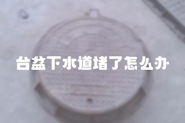 臺(tái)盆下水道堵了怎么辦