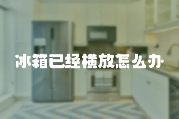 冰箱已經橫放怎么辦
