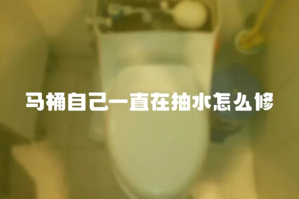 馬桶自己一直在抽水怎么修