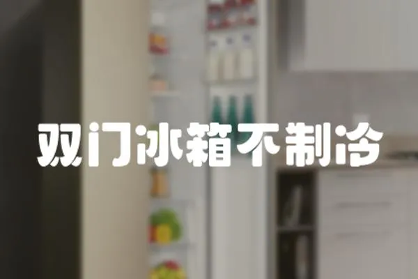 雙門冰箱不制冷