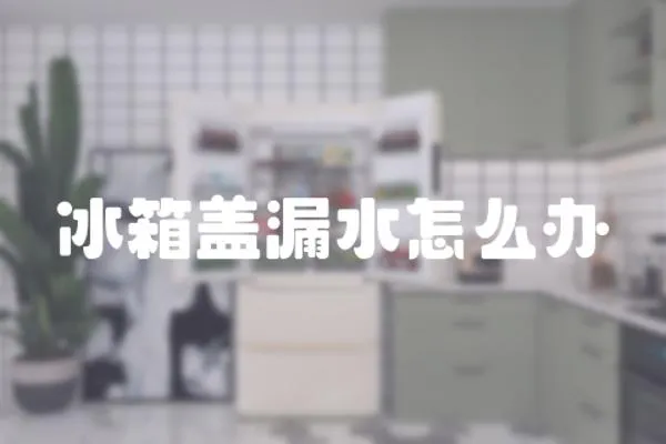 冰箱蓋漏水怎么辦