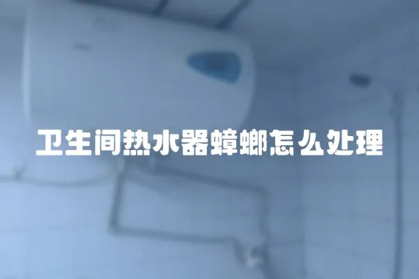 衛(wèi)生間熱水器蟑螂怎么處理