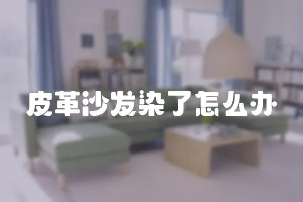 皮革沙發(fā)染了怎么辦