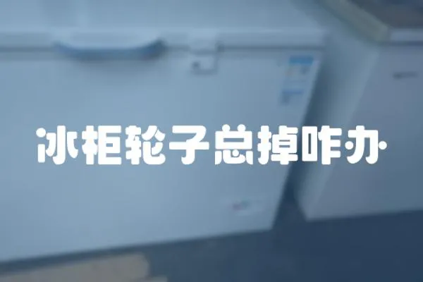 冰柜輪子總掉咋辦