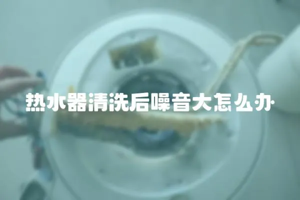 熱水器清洗后噪音大怎么辦
