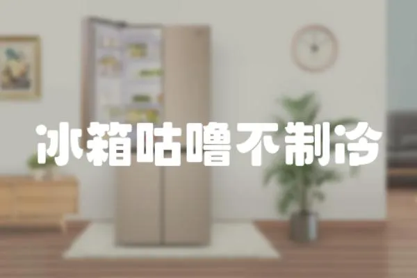 冰箱咕嚕不制冷