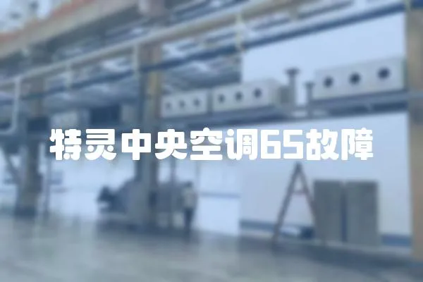 特靈中央空調65故障