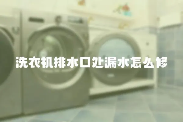 洗衣機(jī)排水口處漏水怎么修