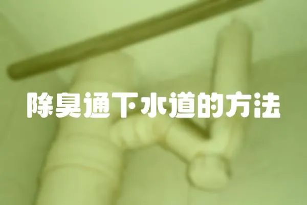 除臭通下水道的方法