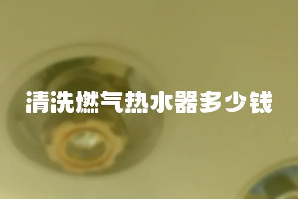 清洗燃氣熱水器多少錢