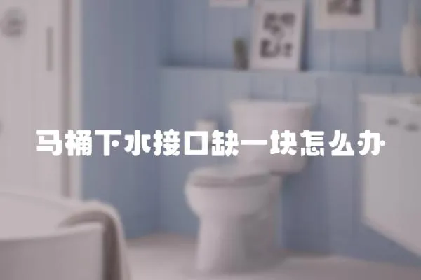 馬桶下水接口缺一塊怎么辦