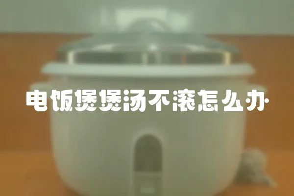 電飯煲煲湯不滾怎么辦