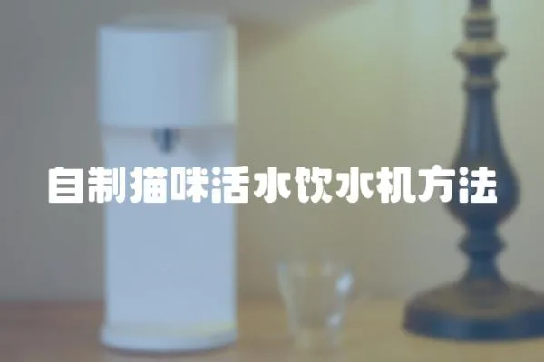 自制貓咪活水飲水機方法