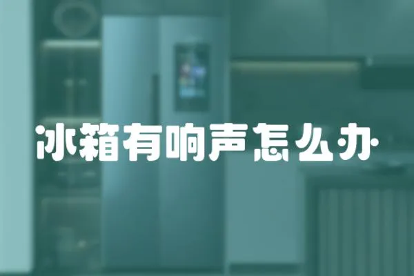 冰箱有響聲怎么辦