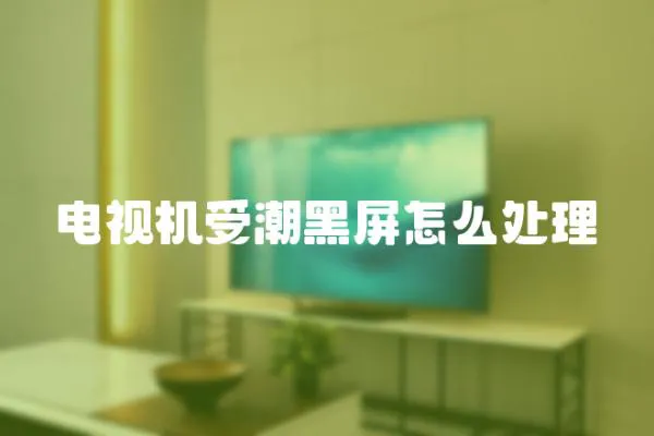 電視機受潮黑屏怎么處理