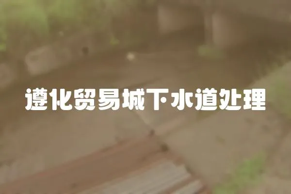 遵化貿易城下水道處理