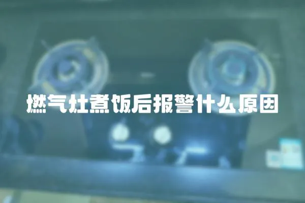 燃氣灶煮飯后報警什么原因