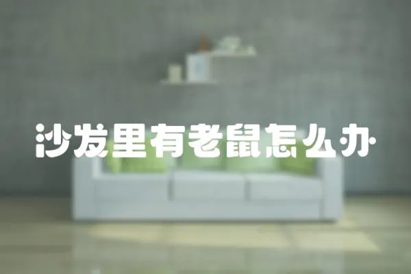 沙發里有老鼠怎么辦