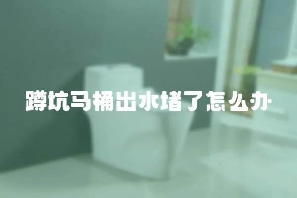 蹲坑马桶出水堵了怎么办