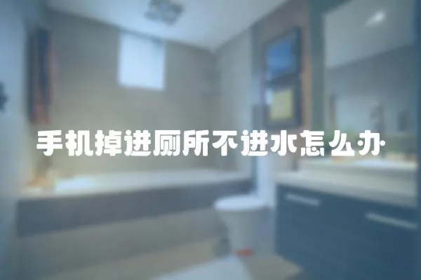 手機掉進廁所不進水怎么辦