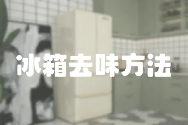 冰箱去味方法