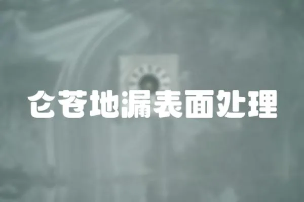 侖蒼地漏表面處理