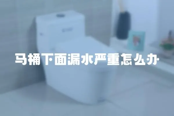 馬桶下面漏水嚴重怎么辦