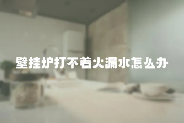 壁掛爐打不著火漏水怎么辦