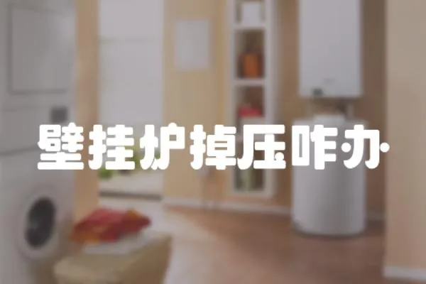 壁掛爐掉壓咋辦