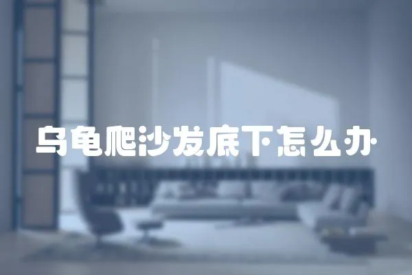 烏龜爬沙發底下怎么辦