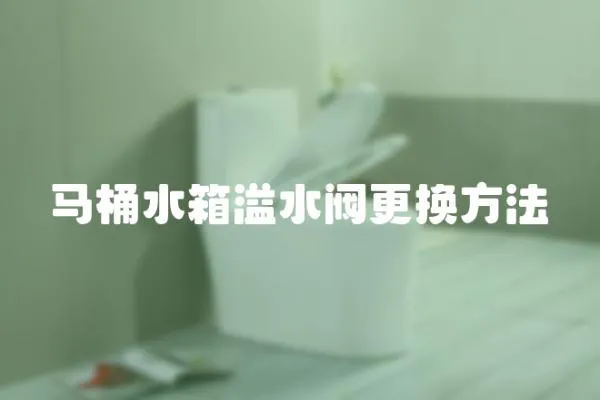 馬桶水箱溢水閥更換方法