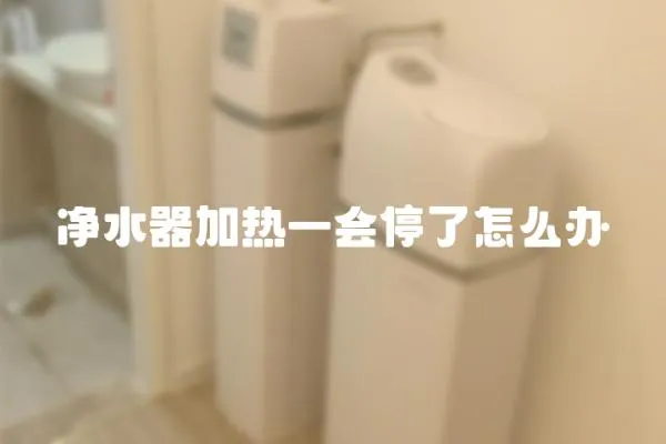 凈水器加熱一會停了怎么辦