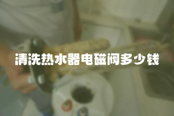 清洗熱水器電磁閥多少錢