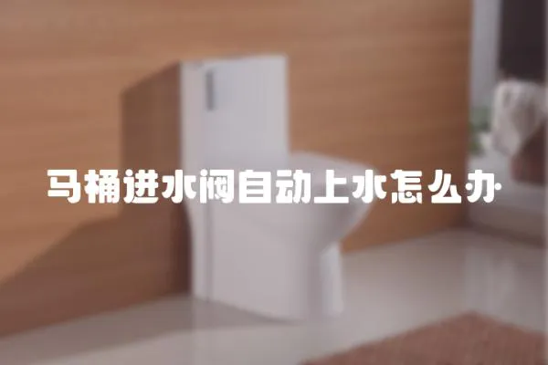 馬桶進水閥自動上水怎么辦