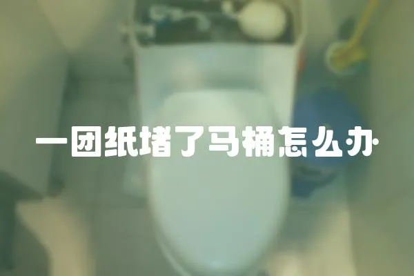 一團紙堵了馬桶怎么辦