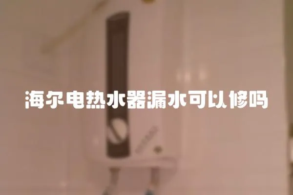 海爾電熱水器漏水可以修嗎