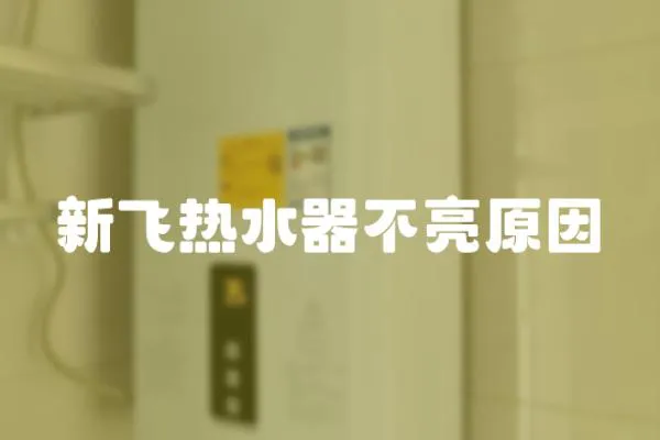新飛熱水器不亮原因